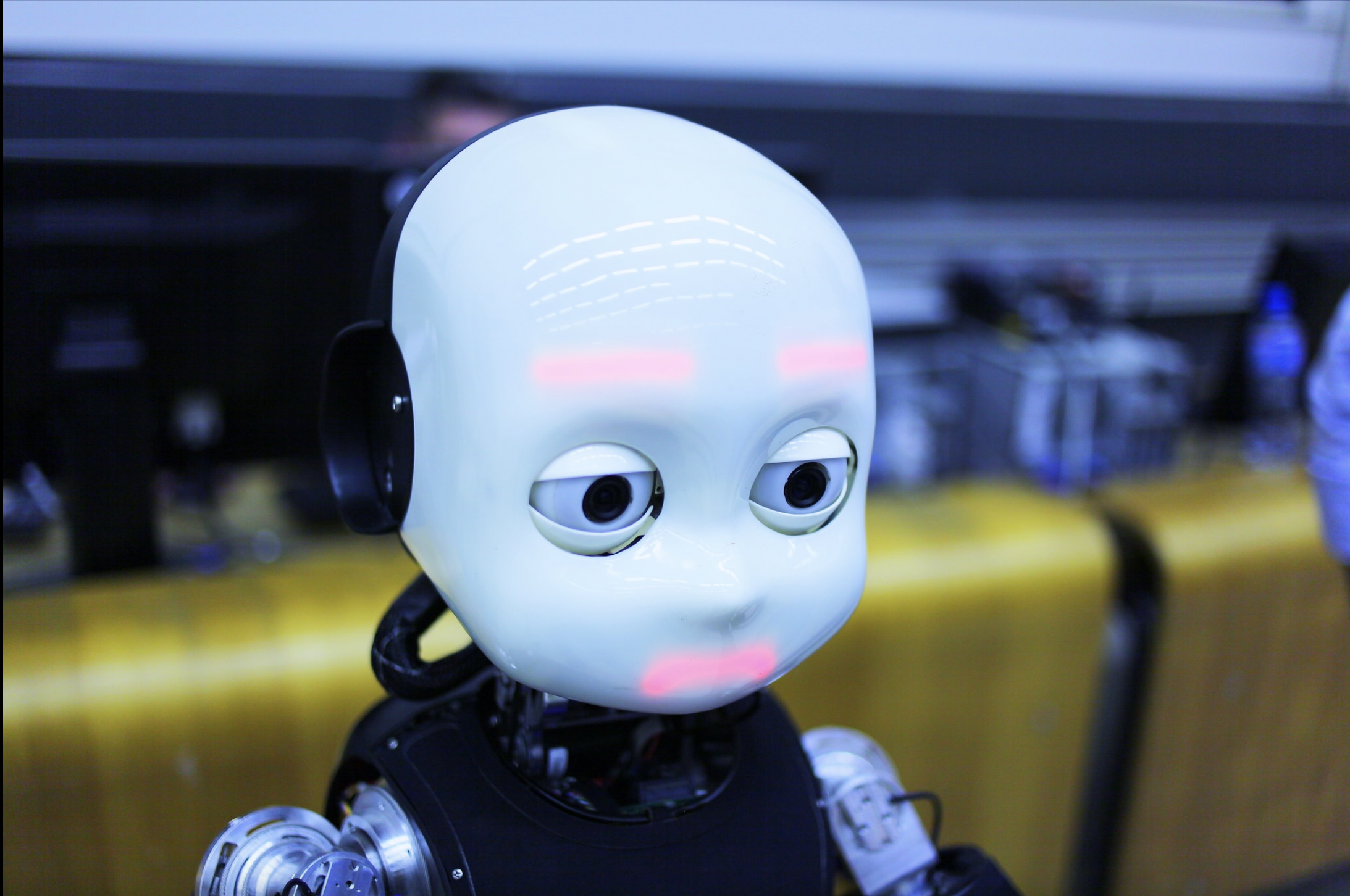 Exploring the World of Robotics: A Look into the EPFL Robotics Festival